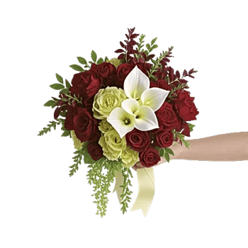 Delicate Petal Cascade