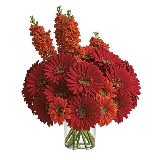 Crimson Blossom Harmony