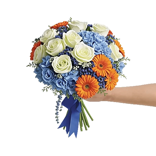 Serene Petal Harmony