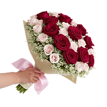 Crimson Rose Elegance