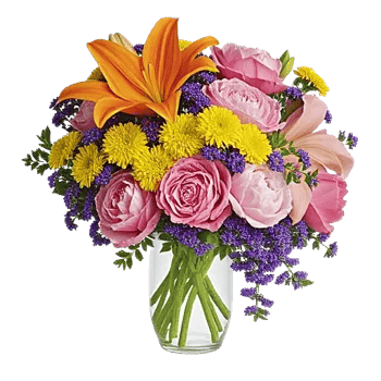 Petal Radiance Bliss