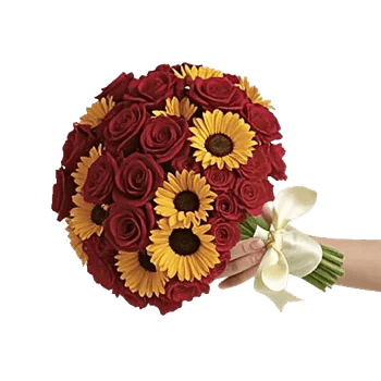 Blushing Rose Symphony