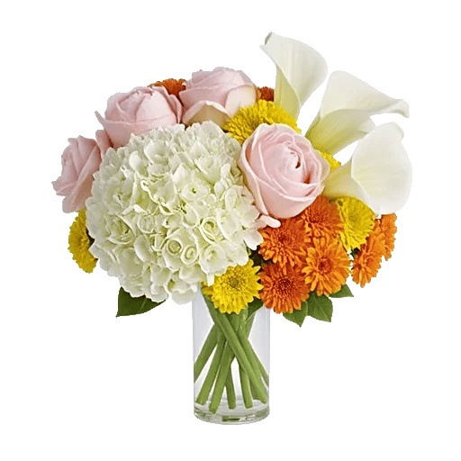 Ivory Blossom Radiance