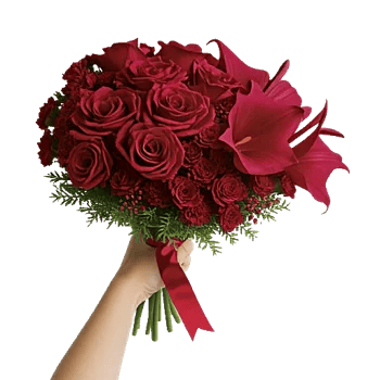 Crimson Rose Elegance