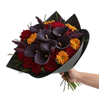 Elegant Calla Lilies