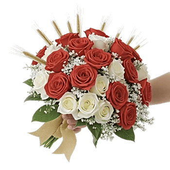 Ivory Garden Grace