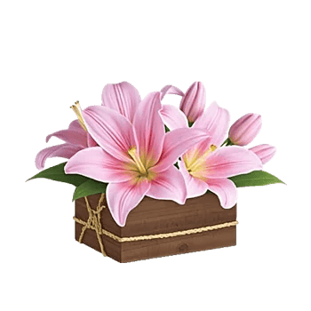 Graceful Lily Display