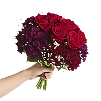 Crimson Rose Elegance