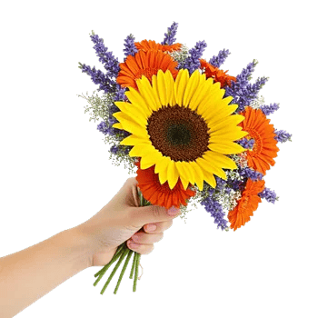 Twinkling Sunflower Dance