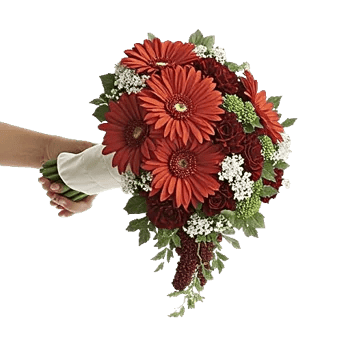 Radiant Bloom Cascade