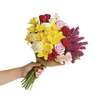 Petal Radiance Bliss