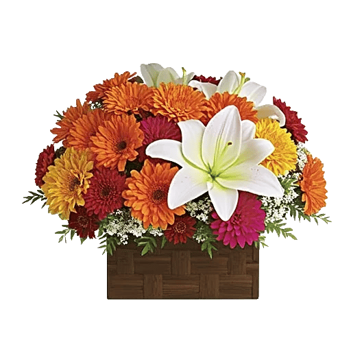 Petal Radiance Bliss