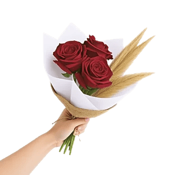 Crimson Rose Elegance
