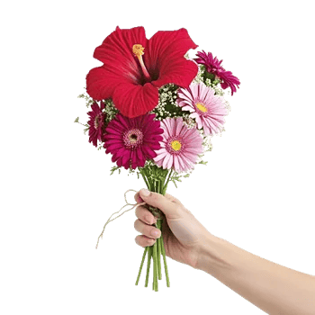 Crimson Blossom Harmony