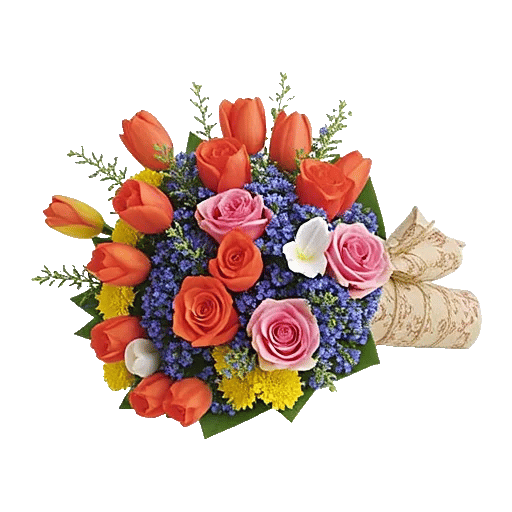 Coral Blossom Harmony