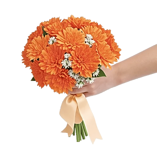 Petal Harmony Bliss