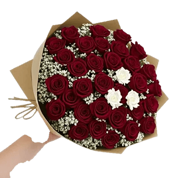 Crimson Rose Elegance