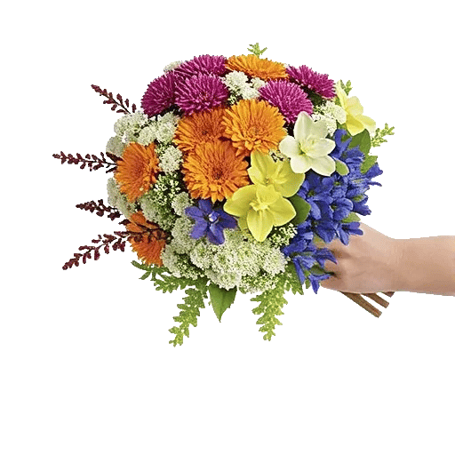 Blossom Harmony Display