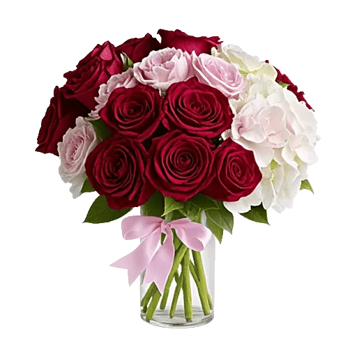 Crimson Rose Elegance