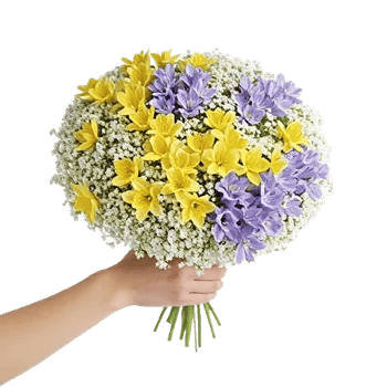 Blossom Radiant Whisper