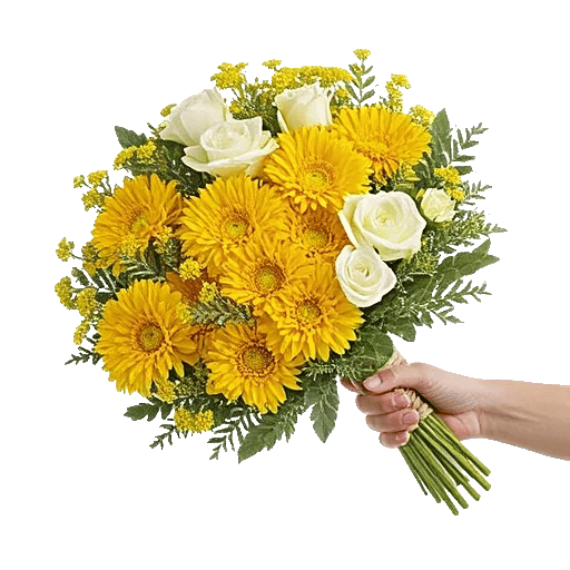 Blossom Harmony Display