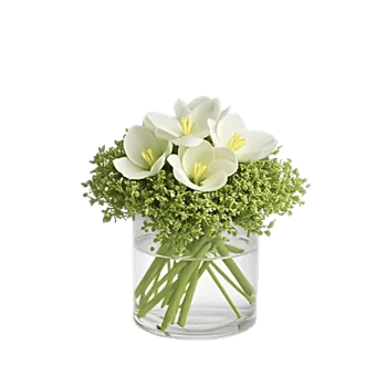 Minimalist White Orchids