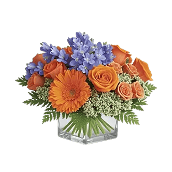 Petal Radiance Bliss