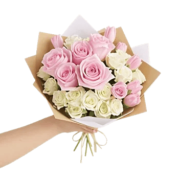 Pastel Pink Roses