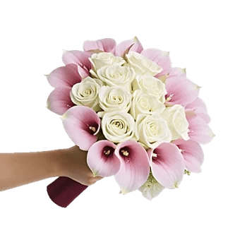 Elegant Calla Lilies