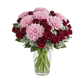 Pink Pastel Roses
