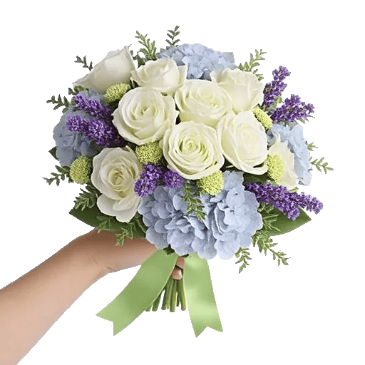 Serene Petal Harmony