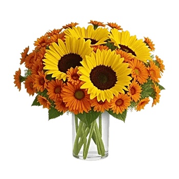 Golden Bloom Radiance