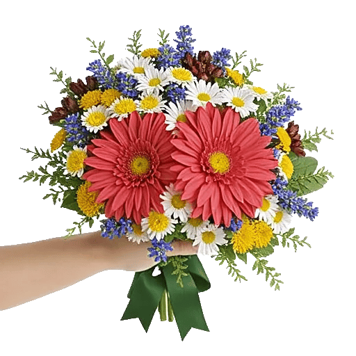 Blossom Petal Serenity