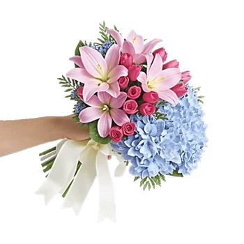 Blossom Petal Serenity