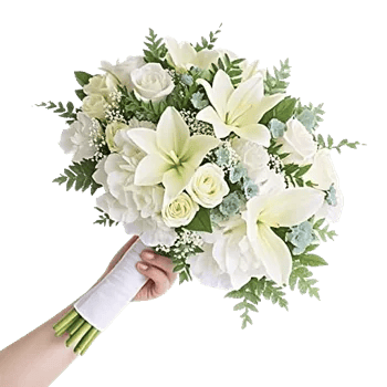 Ivory Garden Grace