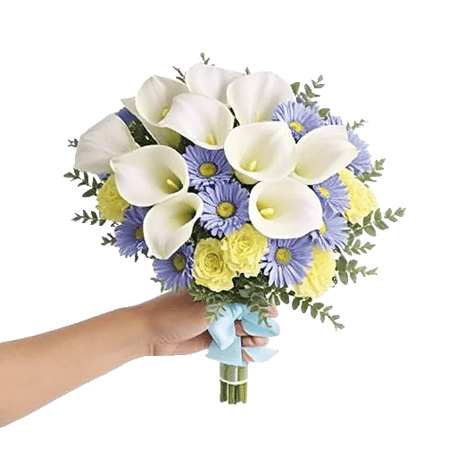 Elegant Calla Lilies