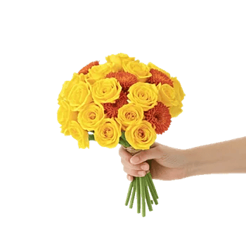 Delicate Petal Cascade