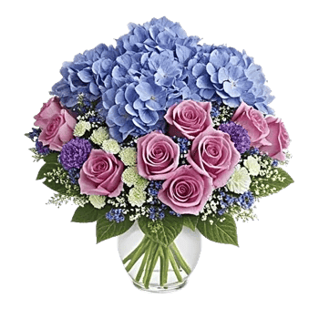 Serene Garden Harmony