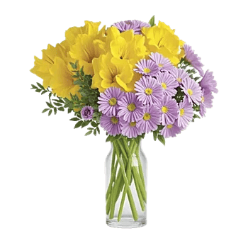 Petal Radiance Bliss