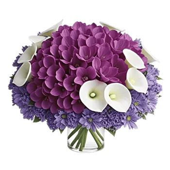 Elegant Calla Lilies