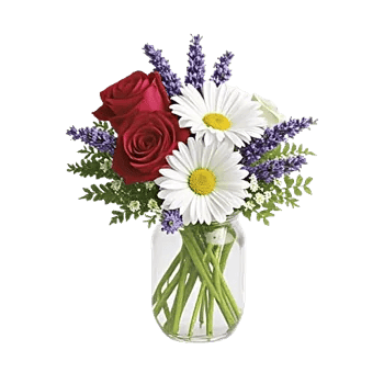 Tulip Rose Mix