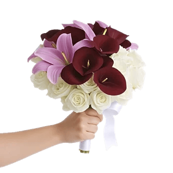 Elegant Calla Lilies