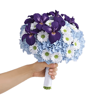 Ivory Blossom Radiance