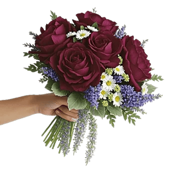 Serene Petal Harmony