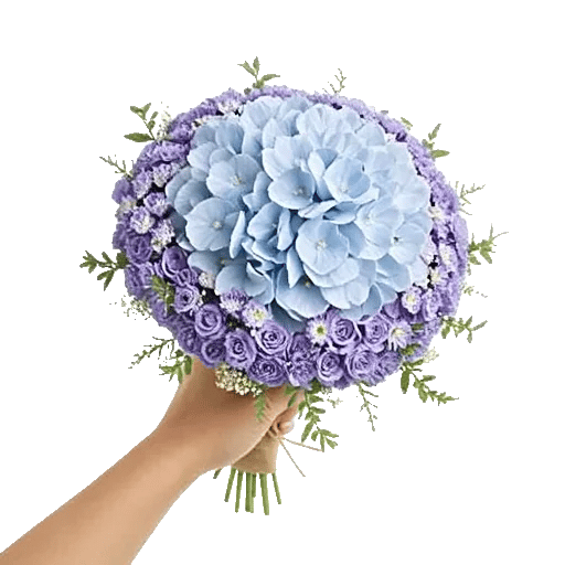 Serene Petal Harmony