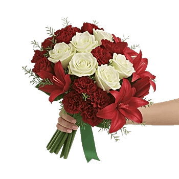 Crimson Rose Elegance