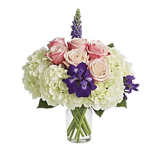 Ivory Blossom Radiance