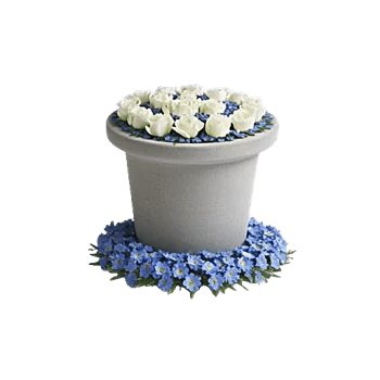 Elegant Blue Roses