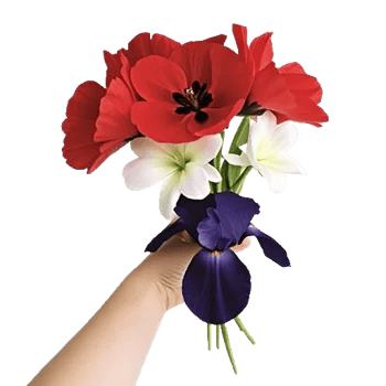 Crimson Blossom Harmony