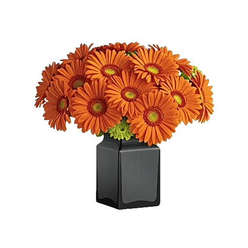 Petal Radiance Bliss